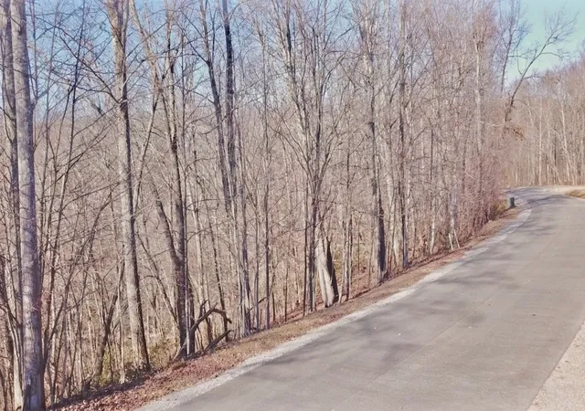 Photo 2 of Land for sale at 273 Tennis Ctr Dr, Smithville, TN 37166 | MLS# 3263217 | Listing updated on 2026-09-14