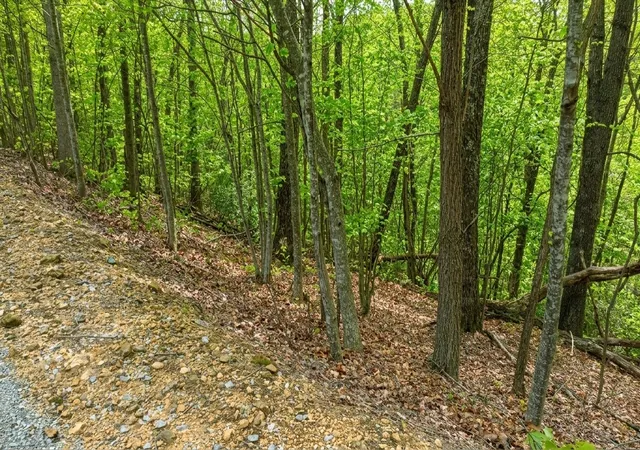 Photo 4 of Land for sale at 273 Tennis Ctr Dr, Smithville, TN 37166 | MLS# 3263217 | Listing updated on 2026-10-30