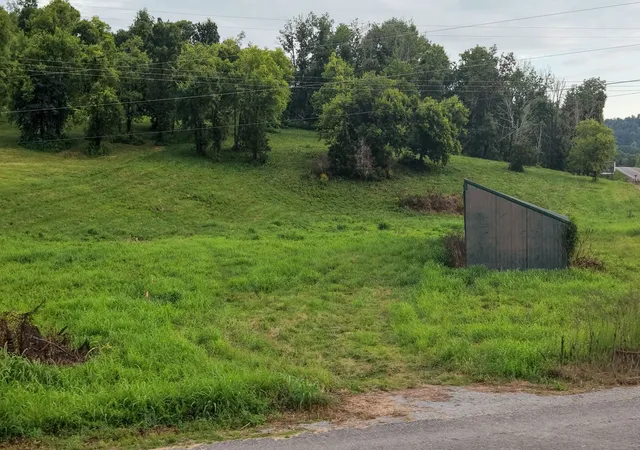Photo 3 of Land for sale at 0 Mclaughlin Ln, Shelbyville, TN 37160 | MLS# 3263292 | Listing updated on 2026-09-21
