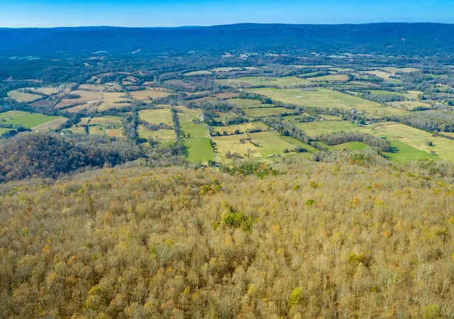 39th image of 1111 Ditch Gap Road, Whitwell, TN 37397 | MLS# 3298231