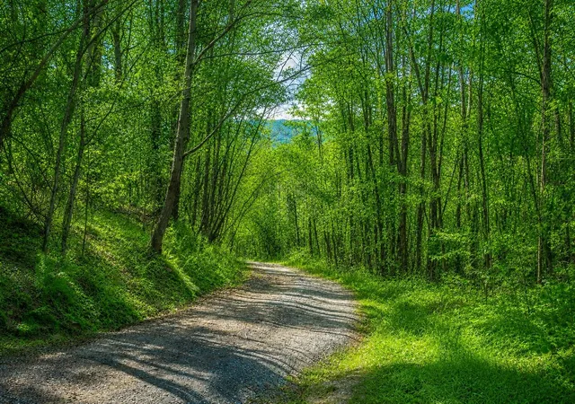 4th image of 1111 Ditch Gap Road, Whitwell, TN 37397 | MLS# 3298231