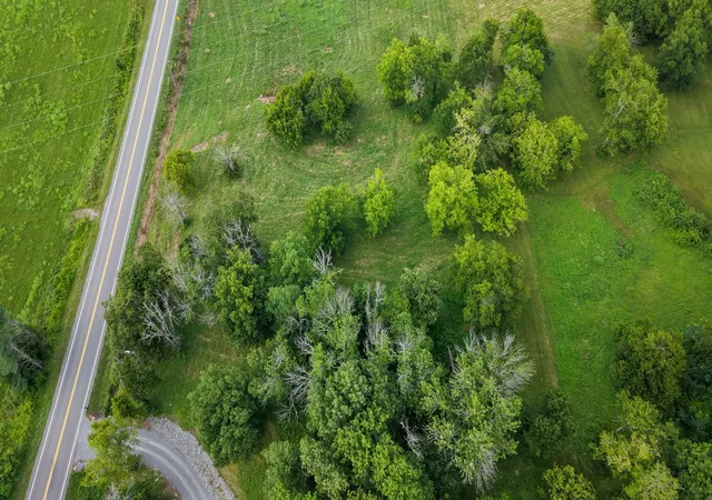 Photo 3 of Land for sale at 0 Highway 231 S, Shelbyville, TN 37160 | MLS# 3263286 | Listing updated on 2026-09-21