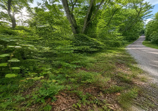 Homes for sale in Smithville, TN | 0 Skyline Dr, Smithville, TN 37166 | MLS# 3264085
