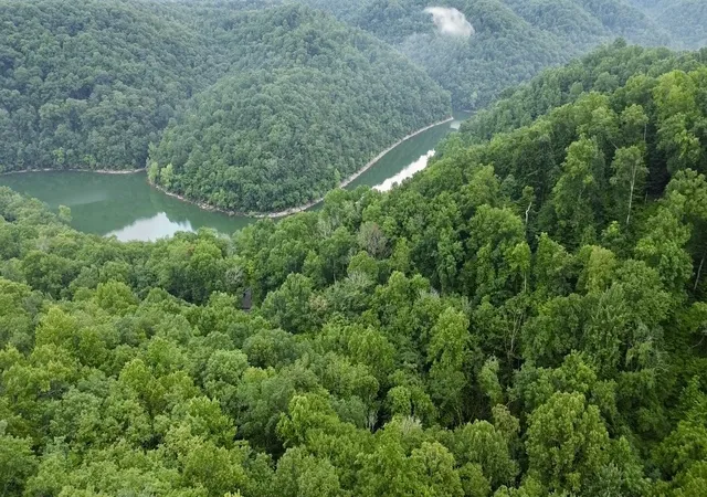 Homes for sale in Smithville, TN | 0 Skyline Dr, Smithville, TN 37166 | MLS# 3264085