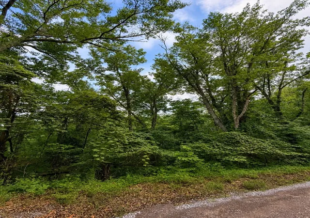 Homes for sale in Smithville, TN | 0 Skyline Dr, Smithville, TN 37166 | MLS# 3264085