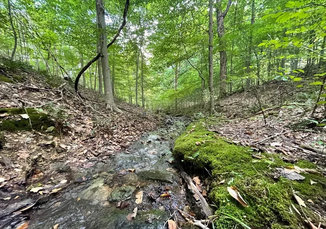 1st image of 0 Mcclanahan Rd, Hampshire, TN 38461 | MLS# 3270439