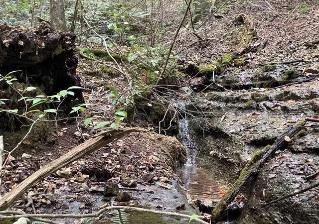 2nd image of 0 Mcclanahan Rd, Hampshire, TN 38461 | MLS# 3270439