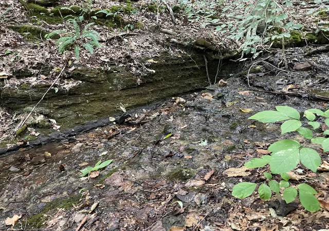 3rd image of 0 Mcclanahan Rd, Hampshire, TN 38461 | MLS# 3270439