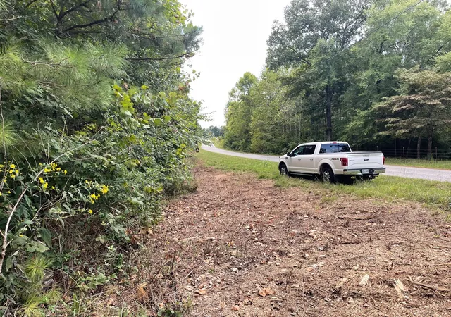 31st image of 0 Mcclanahan Rd, Hampshire, TN 38461 | MLS# 3270439