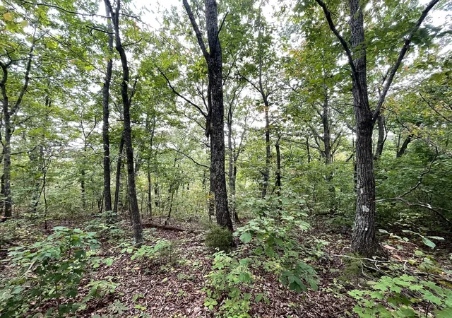 4th image of 0 Mcclanahan Rd, Hampshire, TN 38461 | MLS# 3270439
