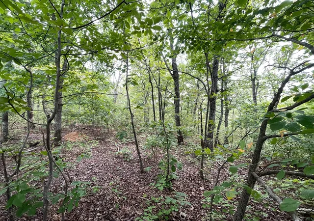 5th image of 0 Mcclanahan Rd, Hampshire, TN 38461 | MLS# 3270439