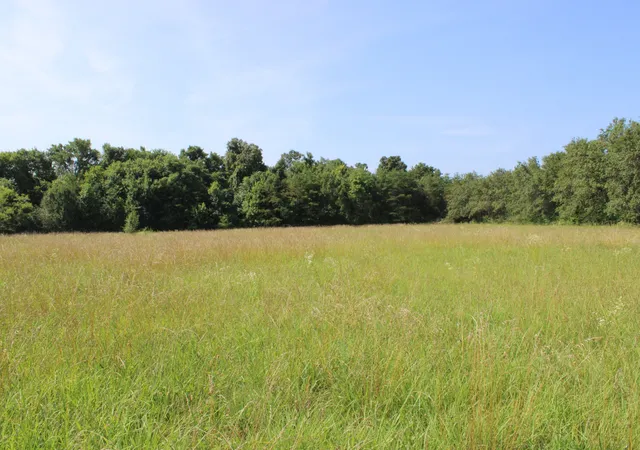 1st image of 0 Myers Cove Rd, Mc Minnville, TN 37110 | MLS# 3270138