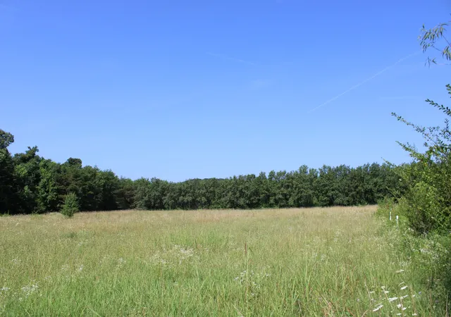 2nd image of 0 Myers Cove Rd, Mc Minnville, TN 37110 | MLS# 3270138