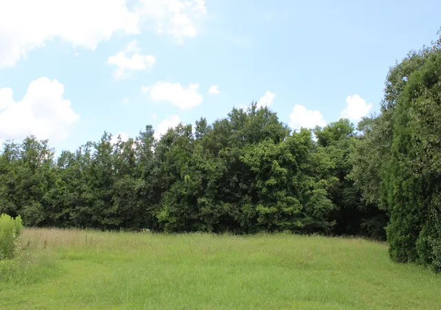 3rd image of 0 Myers Cove Rd, Mc Minnville, TN 37110 | MLS# 3270138