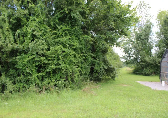 4th image of 0 Myers Cove Rd, Mc Minnville, TN 37110 | MLS# 3270138