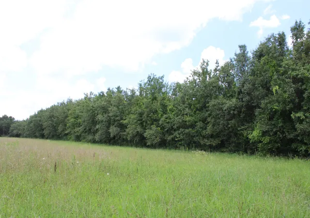 5th image of 0 Myers Cove Rd, Mc Minnville, TN 37110 | MLS# 3270138