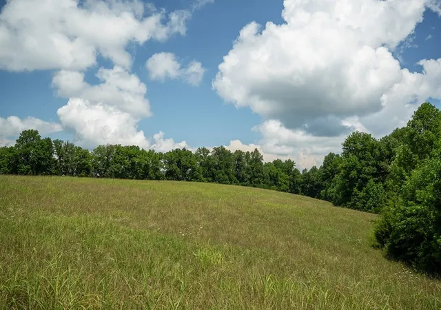 Photo 3 of Land for sale at 0 Blackburn Frk Rd, Cookeville, TN 38501 | MLS# 3268437 | Listing updated on 2026-08-20