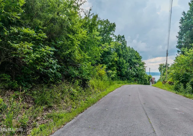 2nd image of 35 Fishtail Cove, Dandridge, TN 37725 | MLS# 3304420