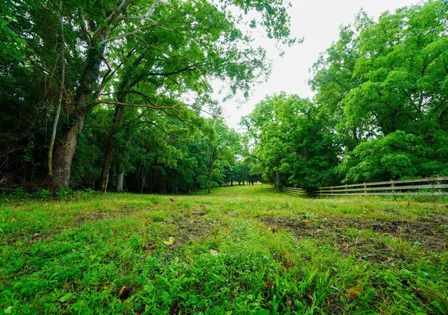 5th image of 1094B Center Point Rd, Hendersonville, TN 37075 | MLS# 3264164