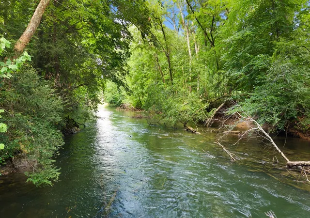 2nd image of 800 Reynolds Bridge Rd, Benton, TN 37307 | MLS# 3268563