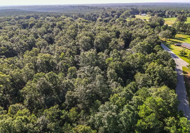 2nd image of 0 Brush Creek Rd, Hohenwald, TN 38462 | MLS# 3263512