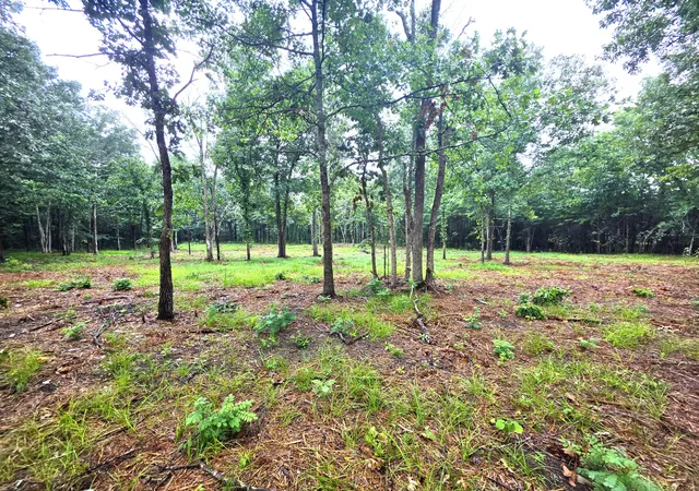 4th image of 1 Couchville Pike, Mount Juliet, TN 37122 | MLS# 3268762