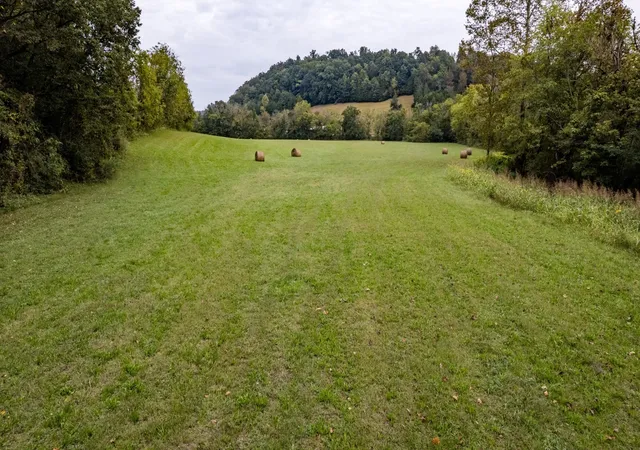Homes for sale in Beechgrove, TN | 1 Noah Rd, Beechgrove, TN 37018 | MLS# 3264327