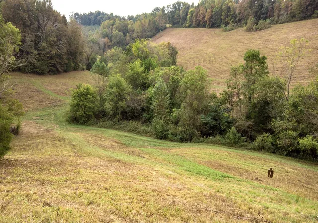 Photo 3 of Land for sale at 1 Noah Rd, Beechgrove, TN 37018 | MLS# 3264327 | Listing updated on 2026-08-20