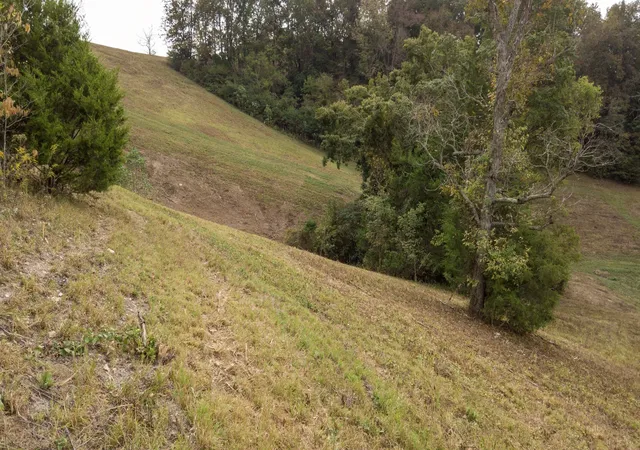 Photo 3 of Land for sale at 1 Noah Rd, Beechgrove, TN 37018 | MLS# 3264327 | Listing updated on 2026-08-20