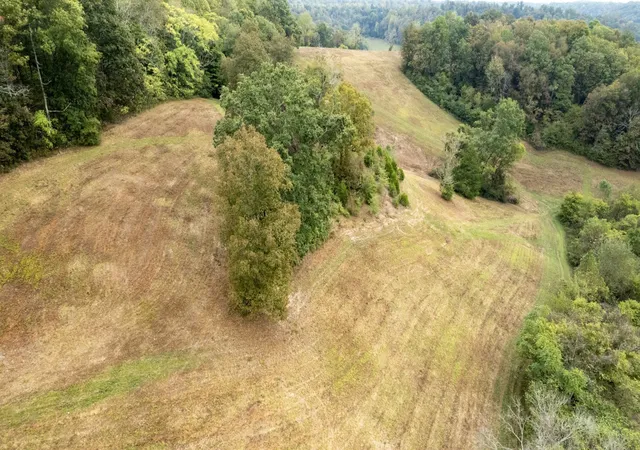 Photo 4 of Land for sale at 1 Noah Rd, Beechgrove, TN 37018 | MLS# 3264327 | Listing updated on 2026-08-20