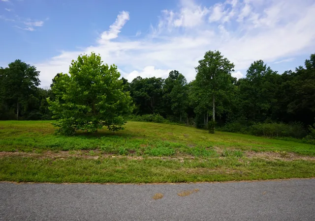 Photo 3 of Land for sale at 1 Peachers Ln, Indian Mound, TN 37079 | MLS# 3281020 | Listing updated on 2026-08-20