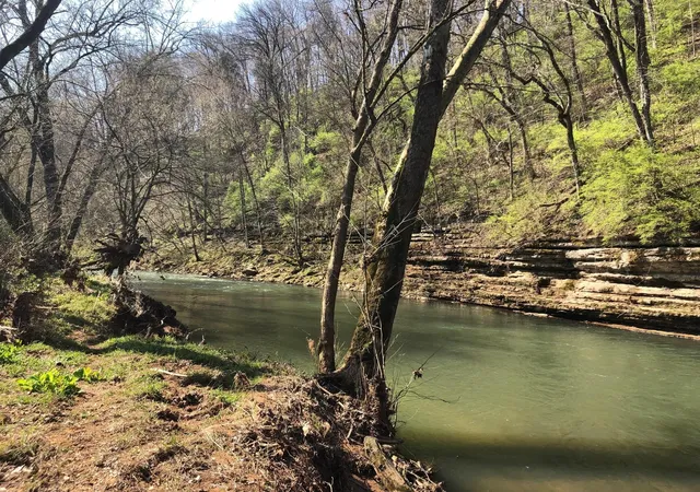 37th image of 1725 Rains Rd, Clarksville, TN 37042 | MLS# 3272097