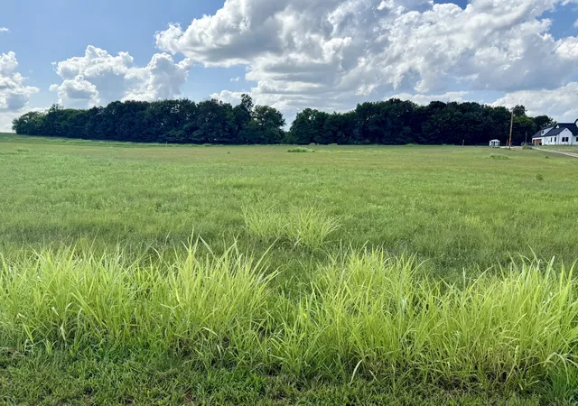 Homes for sale in Portland, TN | 165 Perdue Cemetery Rd, Portland, TN 37148 | MLS# 3264114