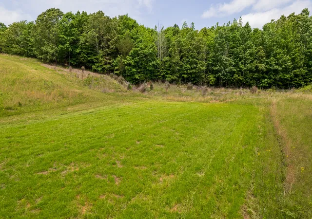 Homes for sale in Cedar Grove, TN | 0 Pearson Road, Cedar Grove, TN 38321 | MLS# 3264104