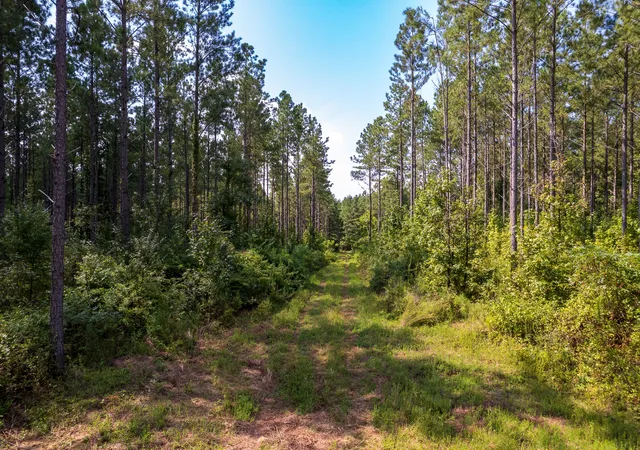Photo 2 of Land for sale at 0 County Rd 966, Calhoun, TN 37309 | MLS# 3264105 | Listing updated on 2026-09-01