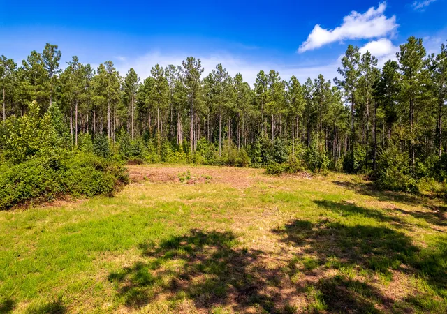 Photo 3 of Land for sale at 0 County Rd 966, Calhoun, TN 37309 | MLS# 3264105 | Listing updated on 2026-09-01
