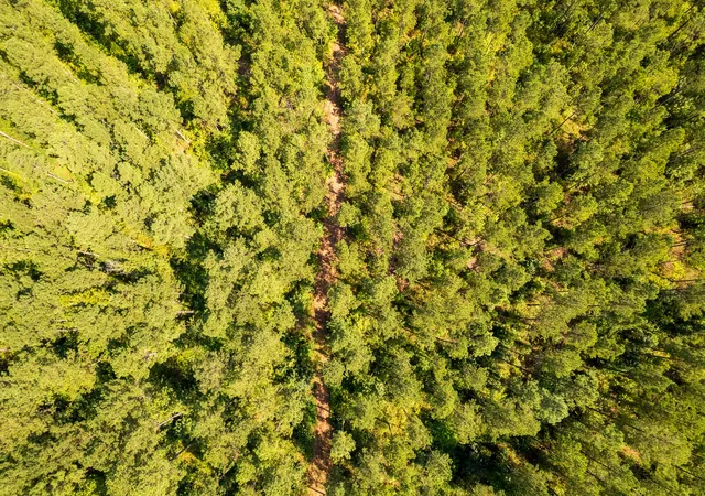 Photo 3 of Land for sale at 0 County Rd 966, Calhoun, TN 37309 | MLS# 3264105 | Listing updated on 2026-09-01