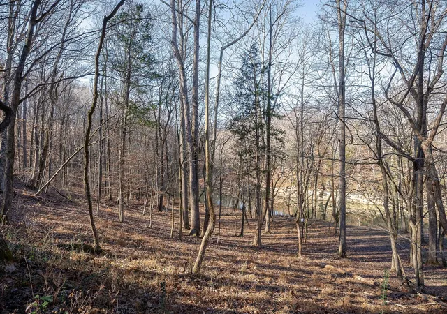 Homes for sale in Rock Island, TN | 0 Hidden River Road, Rock Island, TN 38581 | MLS# 3264130