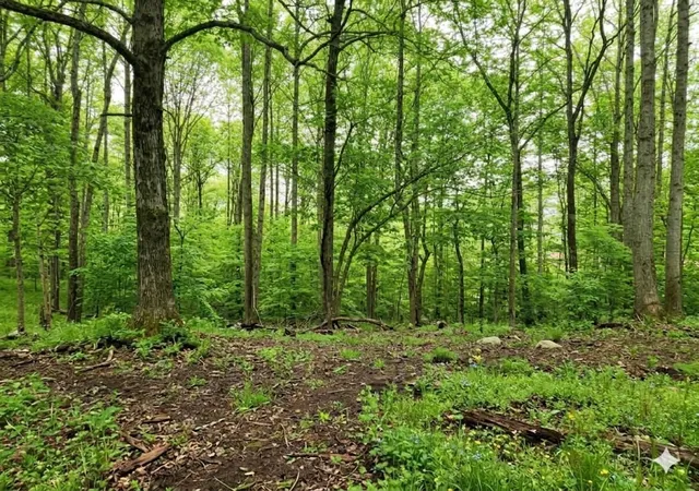 1st image of 0 Periwinkle Path, Leoma, TN 38468 | MLS# 3312333