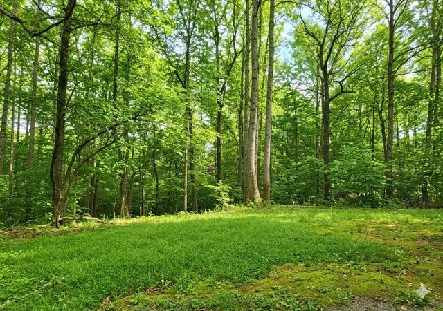 2nd image of 0 Periwinkle Path, Leoma, TN 38468 | MLS# 3312333