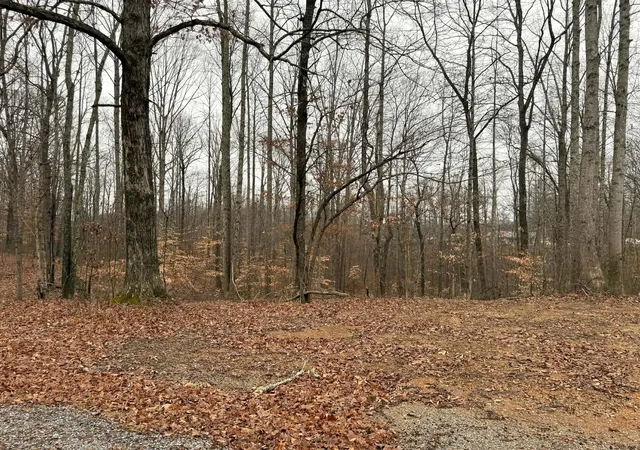 3rd image of 0 Periwinkle Path, Leoma, TN 38468 | MLS# 3312333