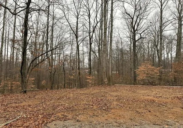 4th image of 0 Periwinkle Path, Leoma, TN 38468 | MLS# 3312333