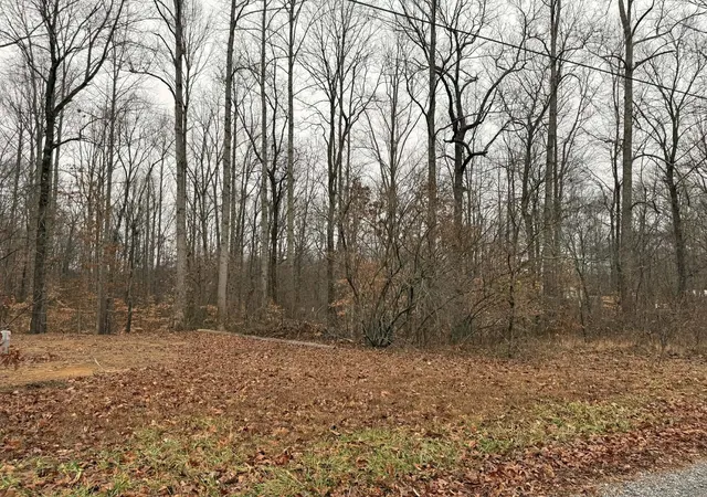 6th image of 0 Periwinkle Path, Leoma, TN 38468 | MLS# 3312333