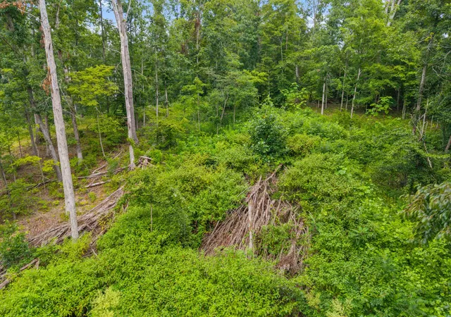 Photo 3 of Land for sale at 0 Highway 47, White Bluff, TN 37187 | MLS# 3272104 | Listing updated on 2026-07-24