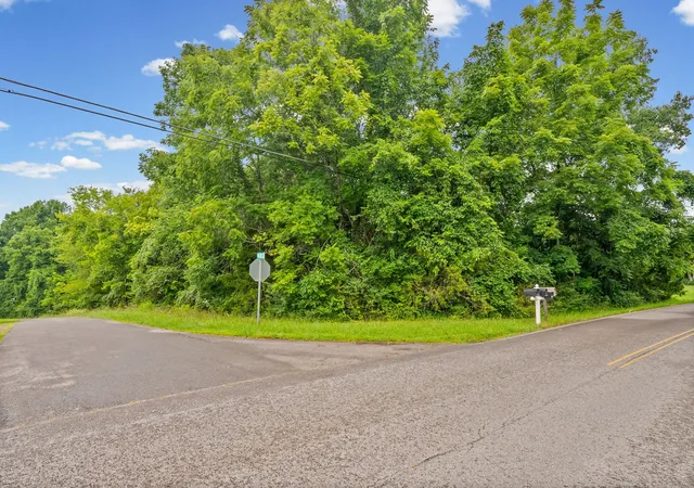 Photo 4 of Land for sale at 0 Highway 47, White Bluff, TN 37187 | MLS# 3272104 | Listing updated on 2026-07-24