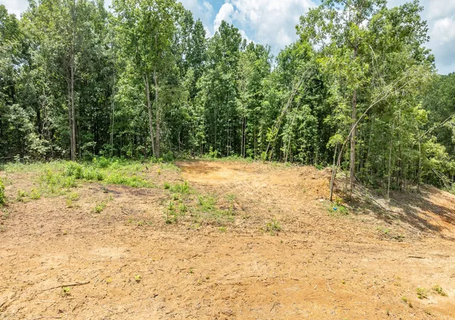 2nd image of 348 Columbia Ave, Hohenwald, TN 38462 | MLS# 3279095