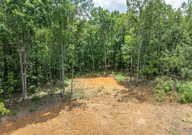 3rd image of 348 Columbia Ave, Hohenwald, TN 38462 | MLS# 3279095