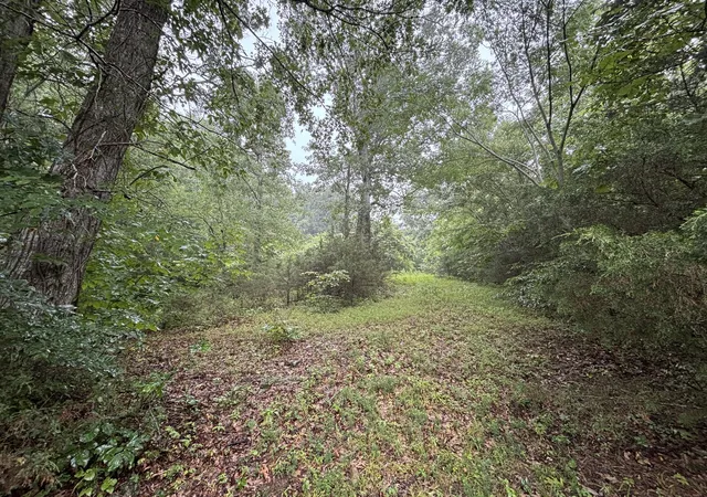 42nd image of 119 Dyer Branch Rd, Gordonsville, TN 38563 | MLS# 3280727