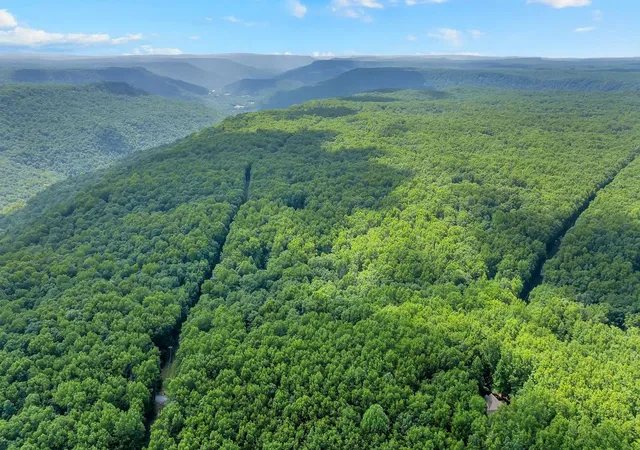51st image of 1637 Clifftops Ave, Monteagle, TN 37356 | MLS# 3270415