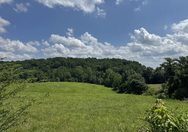 Homes for sale in Smithville, TN | 0 Potts Camp Rd, Smithville, TN 37166 | MLS# 3267488